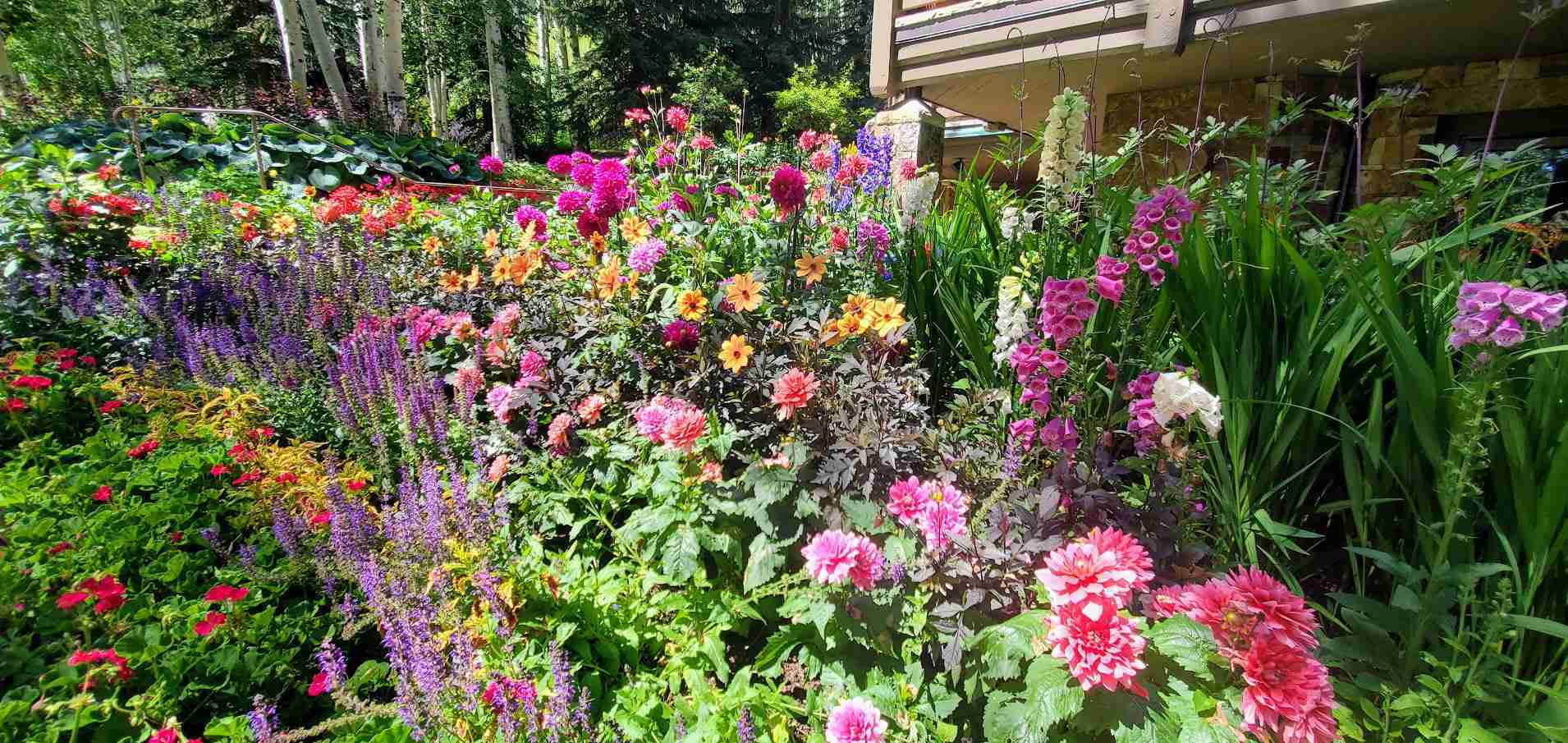 Landscape Management Services  Gore Range Landscaping